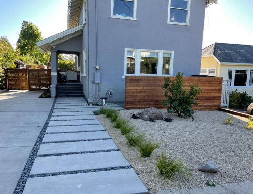 Top Concrete Driveway Contractors in Concord: What You Need to Know