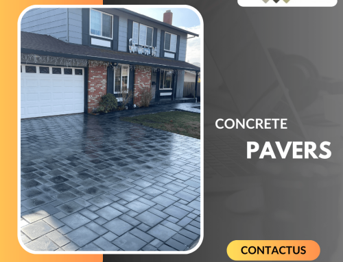 Concrete Paving: Everything You Need to Know About Paving Contractors and Pavers