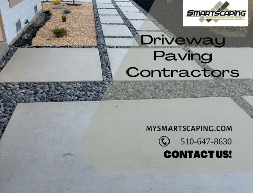 Cost of Driveway Replacement in 2024: What to Expect and Budget For